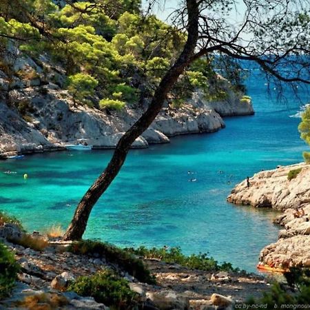 Ciotat Colada Beau Duplex Atypique A 50 M Du Port Classe 3 Etoiles ลาซิโอตาต์ ภายนอก รูปภาพ